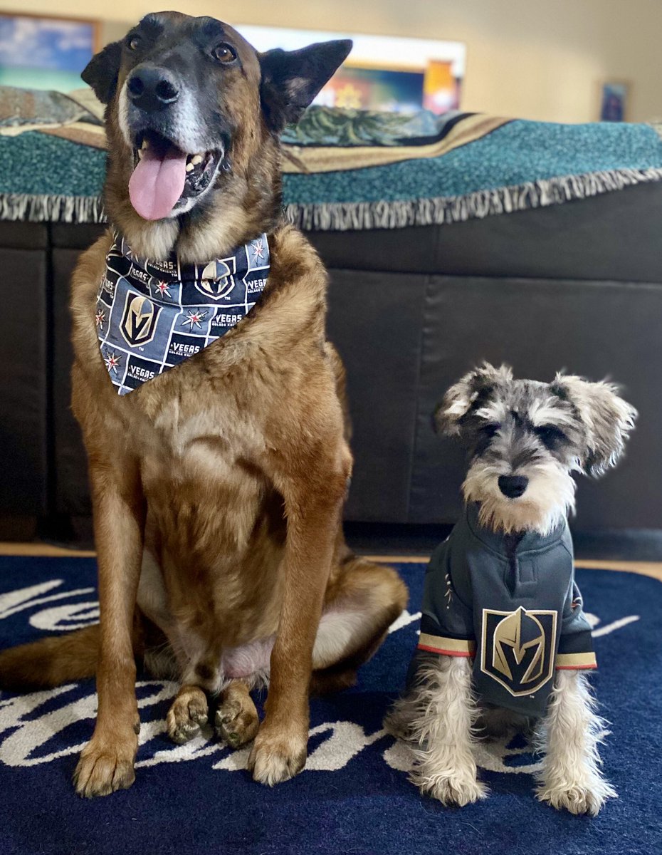 Dream2Ride's tweet image. Thor and Loki are ready to eat some Duck ToKnight! #FortressAtHome #VegasBorn