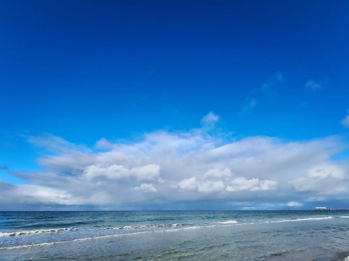 Barbara Gare tweet media