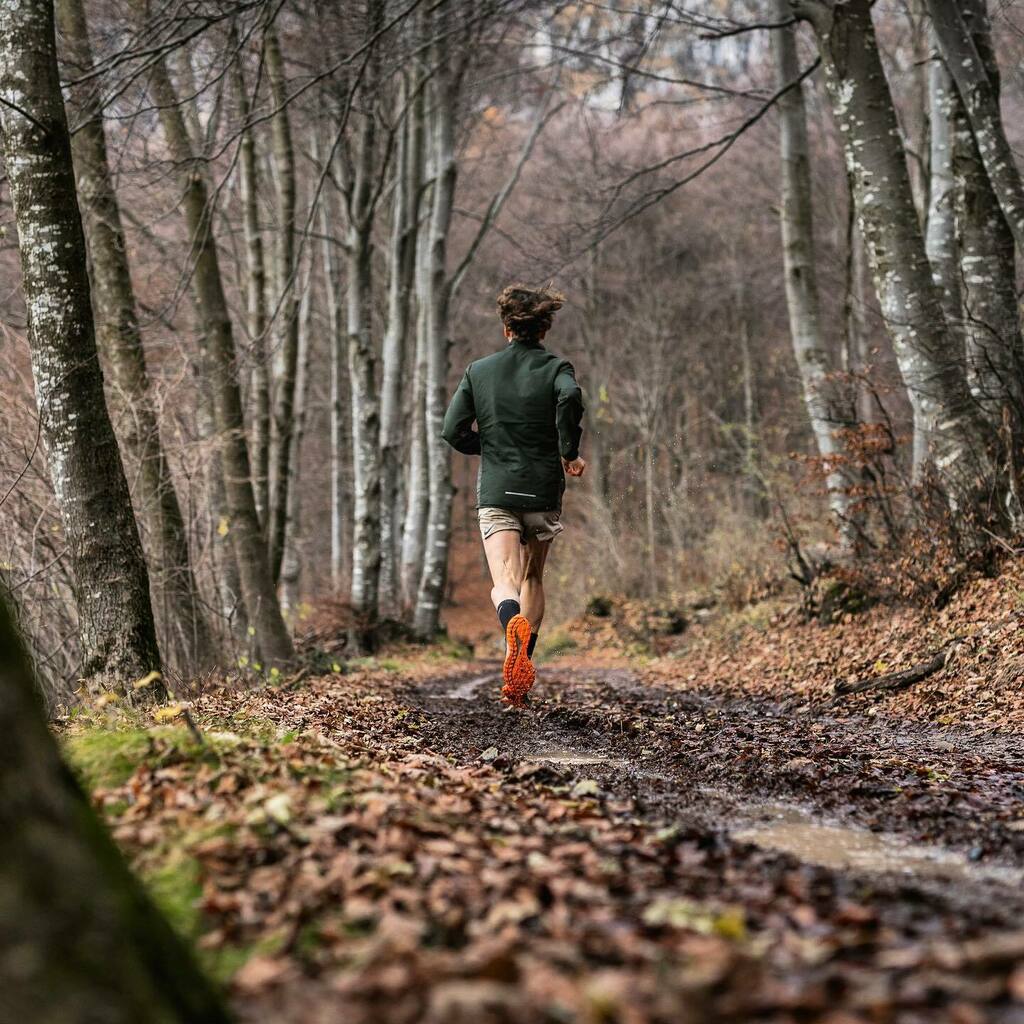 fra_puppinho's tweet photo. Races or not, always trying to better myself
#sundaymorning #runforgood #longrun #vibes #anysurfaceavailable #alpinerunning #mountainrunning #trailaddicted #sharethetrail https://t.co/Q0uYea3fWF https://t.co/6ROiuxq4e5