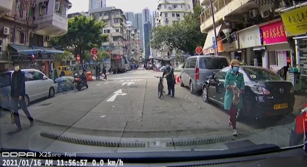 Twenty hours ago, Lily was outside the shop where she lived, she was well known in the neighbourhood.Suddenly a middle aged woman picked her up, and ran off. The was captured on the dash cam of a nearby vehicle.