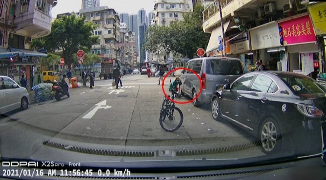 Twenty hours ago, Lily was outside the shop where she lived, she was well known in the neighbourhood.Suddenly a middle aged woman picked her up, and ran off. The was captured on the dash cam of a nearby vehicle.