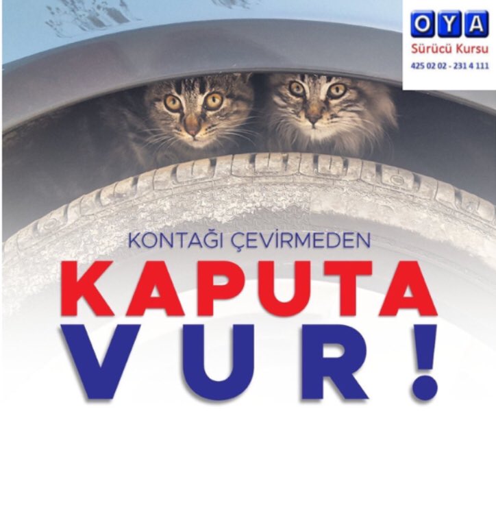 Önce kaputa vur sonra bir dakika dur 🛑 
Soğuk havalarda araç motorlarına sığınan bu canları unutmayalım!