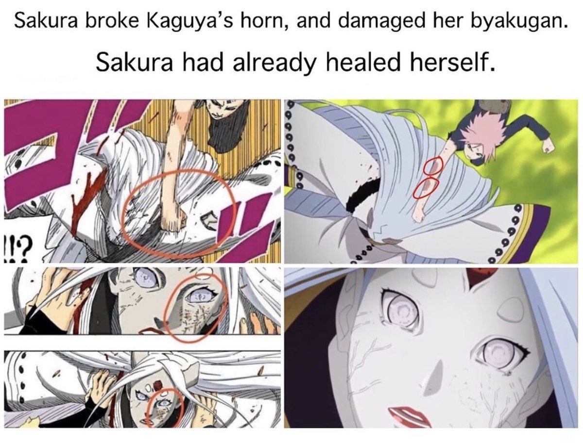 Since Sakura is trending we need to talk about how dirty sp did her.