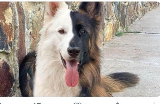 Zeeshan00767952's tweet photo. #AppointAllSpscWrittenQualifiedVeterinarian
Appoint all SPSC written qualified veterinarian

@MuradAliShahPPP
@BilawalBhuttoZardari
@AbdulBaripitafi https://t.co/gL5rNQ5v1L
