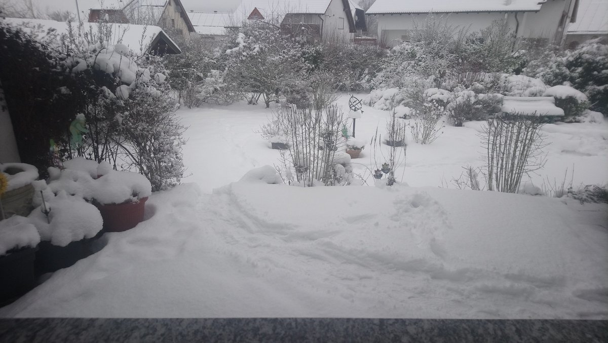 Angiemk6's tweet photo. 😄Happy Sunday from snowy Germany🌨️☃️❄️
So viel Schnee 🌨️❄️ lag hier im #Bliesgau schon lange nicht mehr!
#gersheim #saarland #germany #inmygarden https://t.co/XEg0KtNEOw