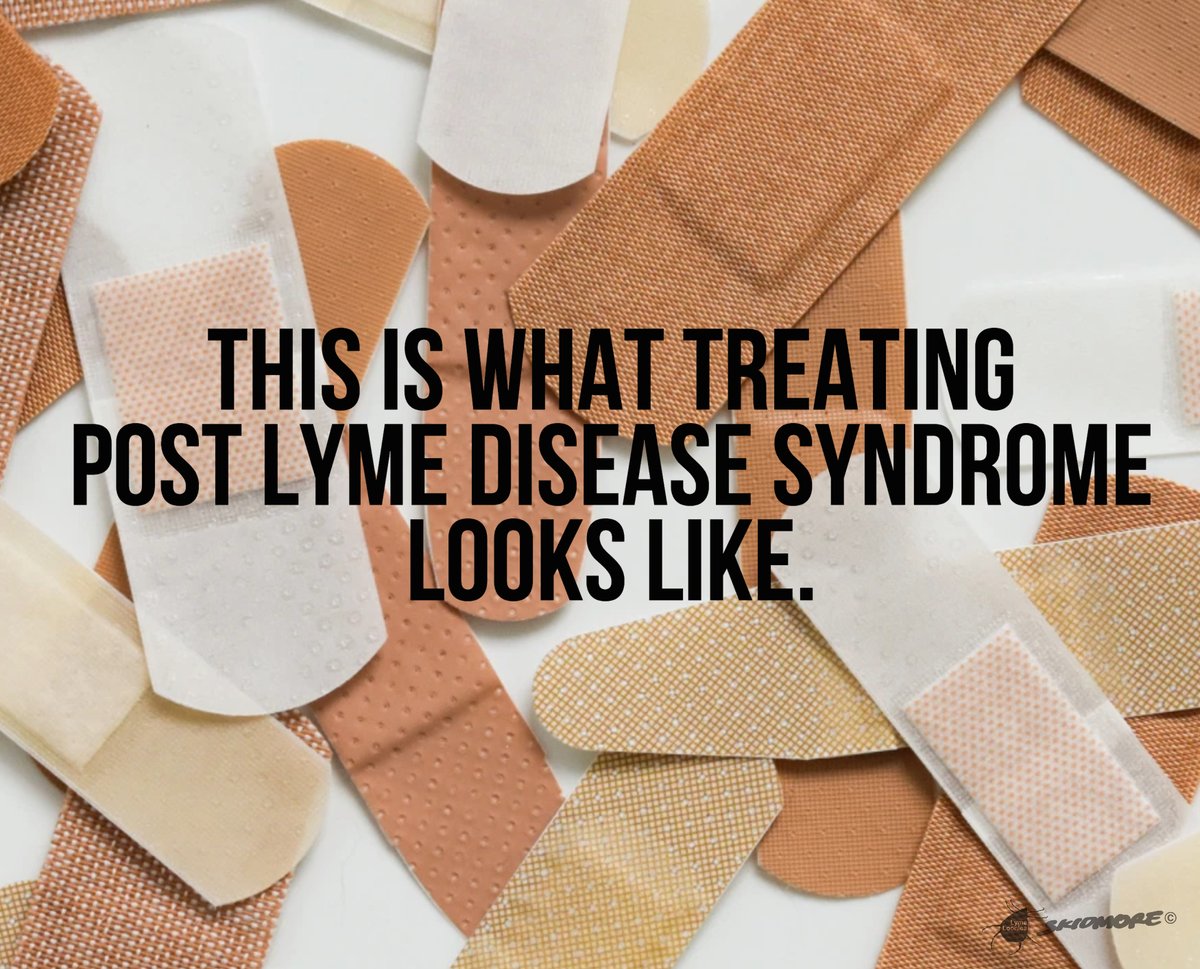 Lymeloonies's tweet photo. In my humble opinion, having fallen into this category myself and knowing all too well the pharmaceuticals including the antidepressants that can be thrown at us instead of dealing with the root problem, active or chronic #LymeDisease I for one will never buy into to PLDS https://t.co/bDZ2X32WxE