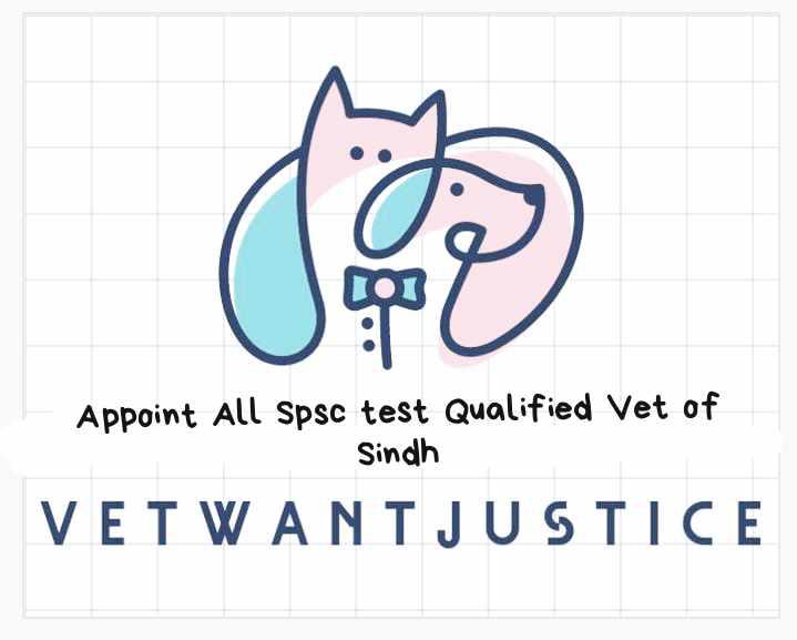 MSTalpur2's tweet photo. #AppointAllSpscWrittenQualifiedVeterinarian
Justice for vets..

@MuradAliShahPPP.. 
@pitafi_bari.. 
@BilawalBhuttoZardari.
@nsabbasiOff https://t.co/QGornWXc43