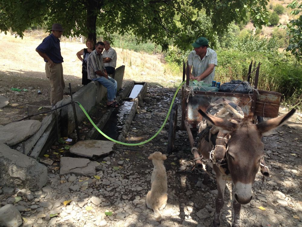 Weekly Georgian Etymology: ბირჟა birža 'hangout place', from Russian биржа 'exchange, market' from (low) German Börse, < French bourse 'stock exchange', < Late Latin bursa 'leather purse', < Greek βύρσα 'skin, hide'. Now often a slang term for where local gossip is exchanged.