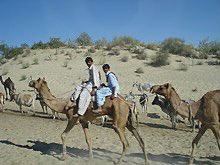 samrinahashmi's tweet photo. Courtesy @dr_rajashad
16 Students selected for MBBS from #Meghwar community of #Tharparkar district
😍It’s proud moment for their parents,teachers@ whole meghwar community.Its their hard work & struggle behind this success. All the best for your bright future ahead
🥳🥳🥳🥳🥳 https://t.co/iHxAVL3De3