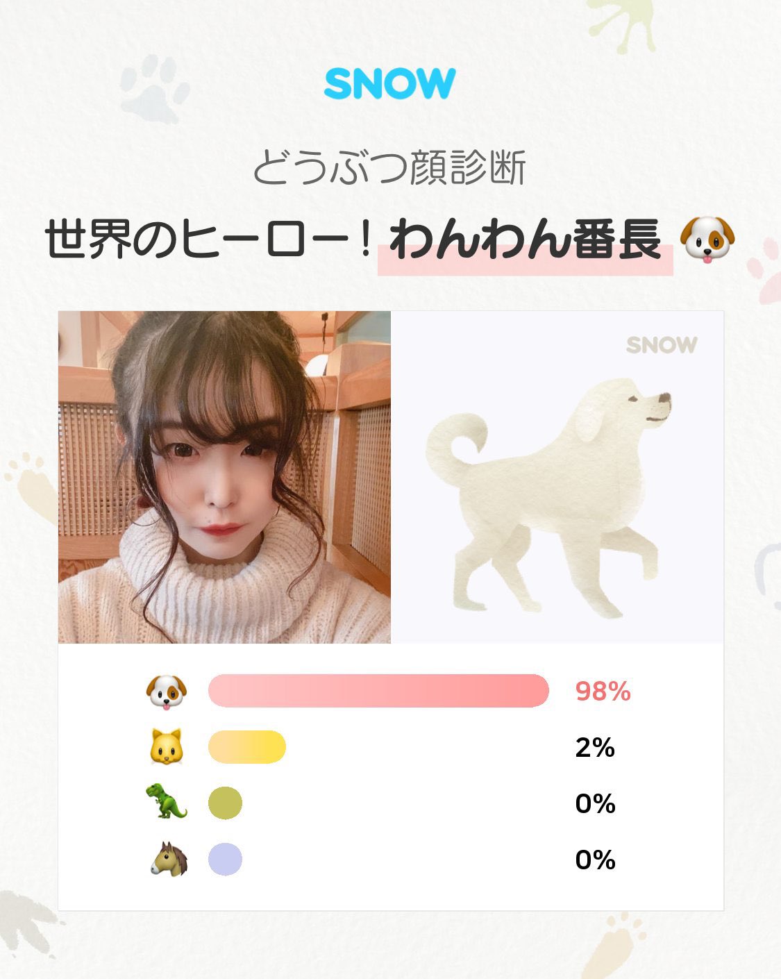 どうぶつ顔診断 Twitter Search Twitter