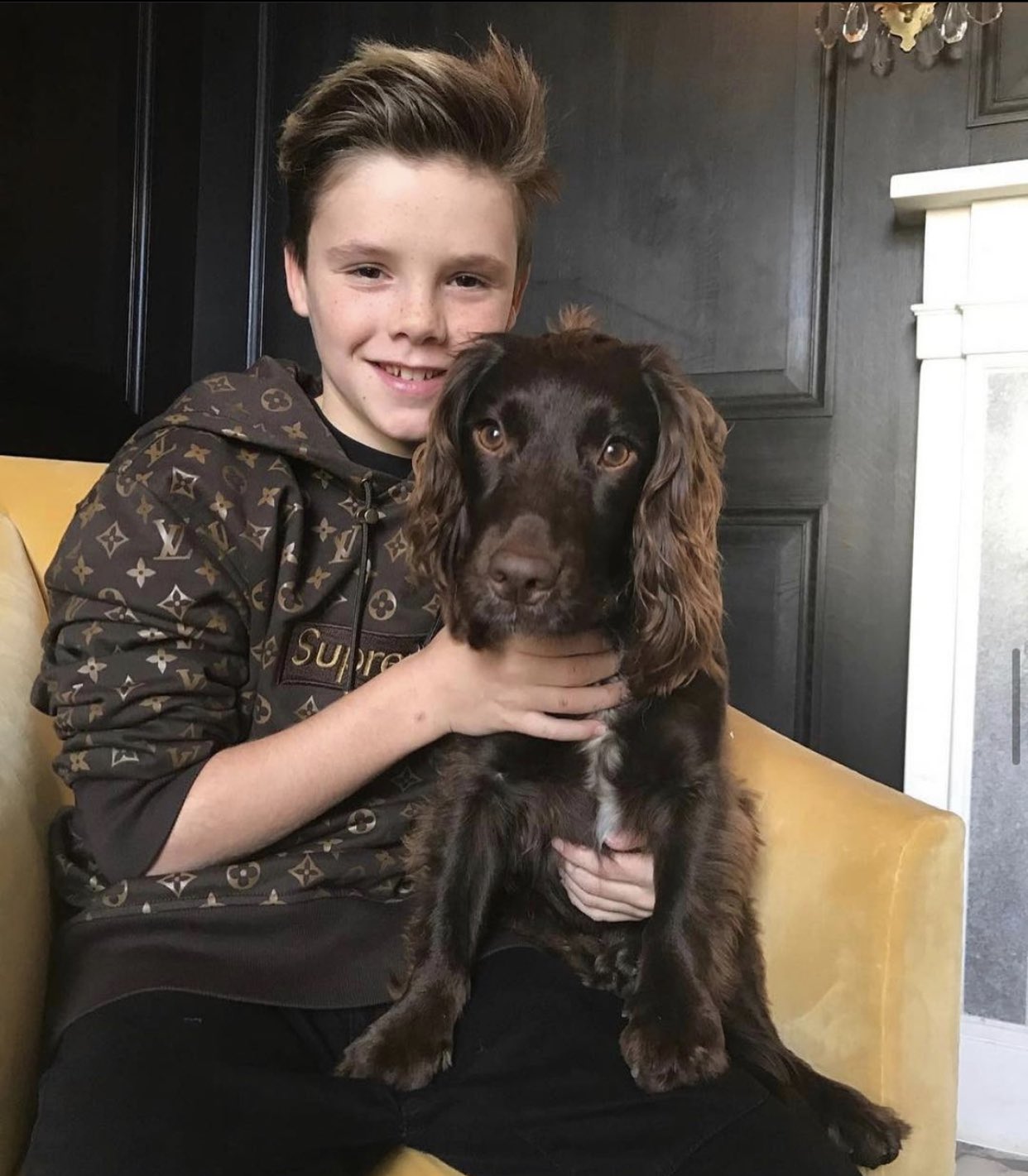 Beckham supreme louis vuitton sale