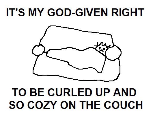 reactjpg tweet picture