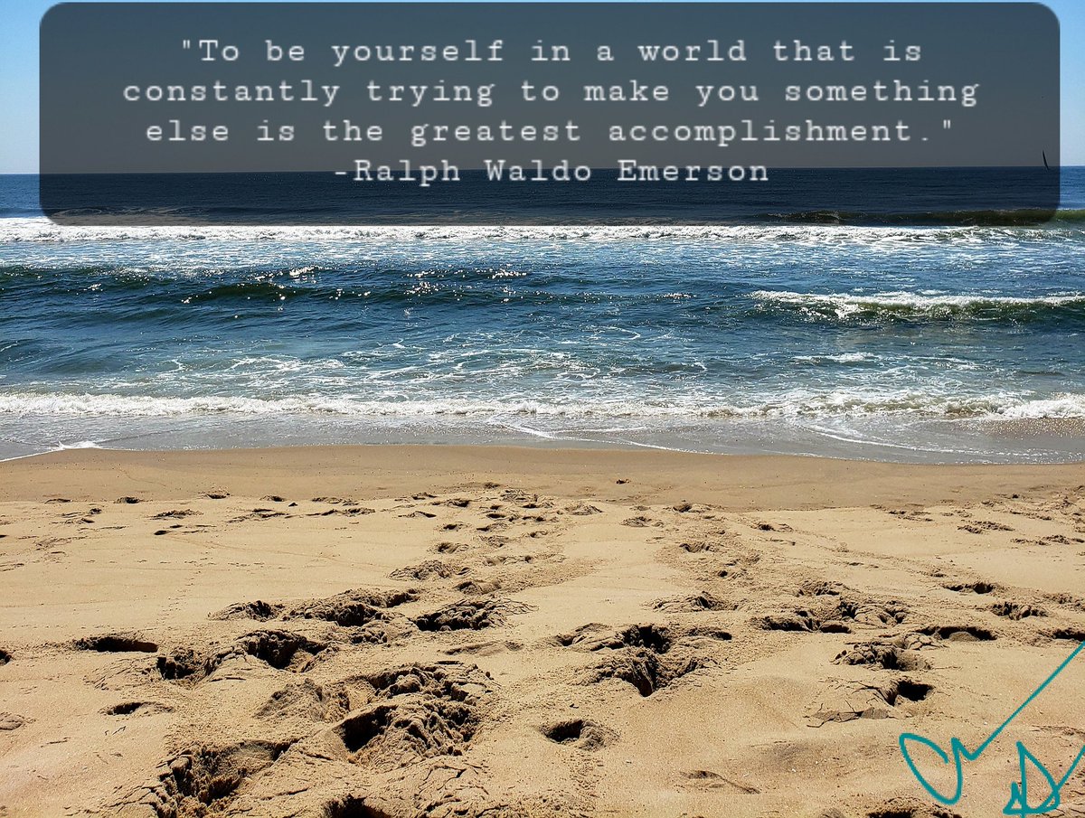 Charles.Jr. tweet media