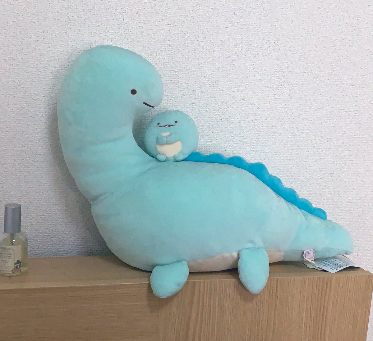 本当は恐竜なのに偽って暮らしている とかげさん 店頭でお母さんと会えて幸せそうなのを見て号泣してしまった 話題の画像プラス 本当は恐竜なのに偽って暮らしている とかげさん 店頭でお母さんと会えて幸せそうなのを見て号泣してしまった 話題の画像プラス