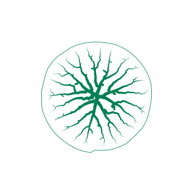 vizrdlabs's tweet photo. The shadow of a tree at high noon, in Equatorial New Guinea. #p5js #generativeArt #digitalart #creativecoding #generative #vizrdLabs #procedural https://t.co/f4shWm06Zx