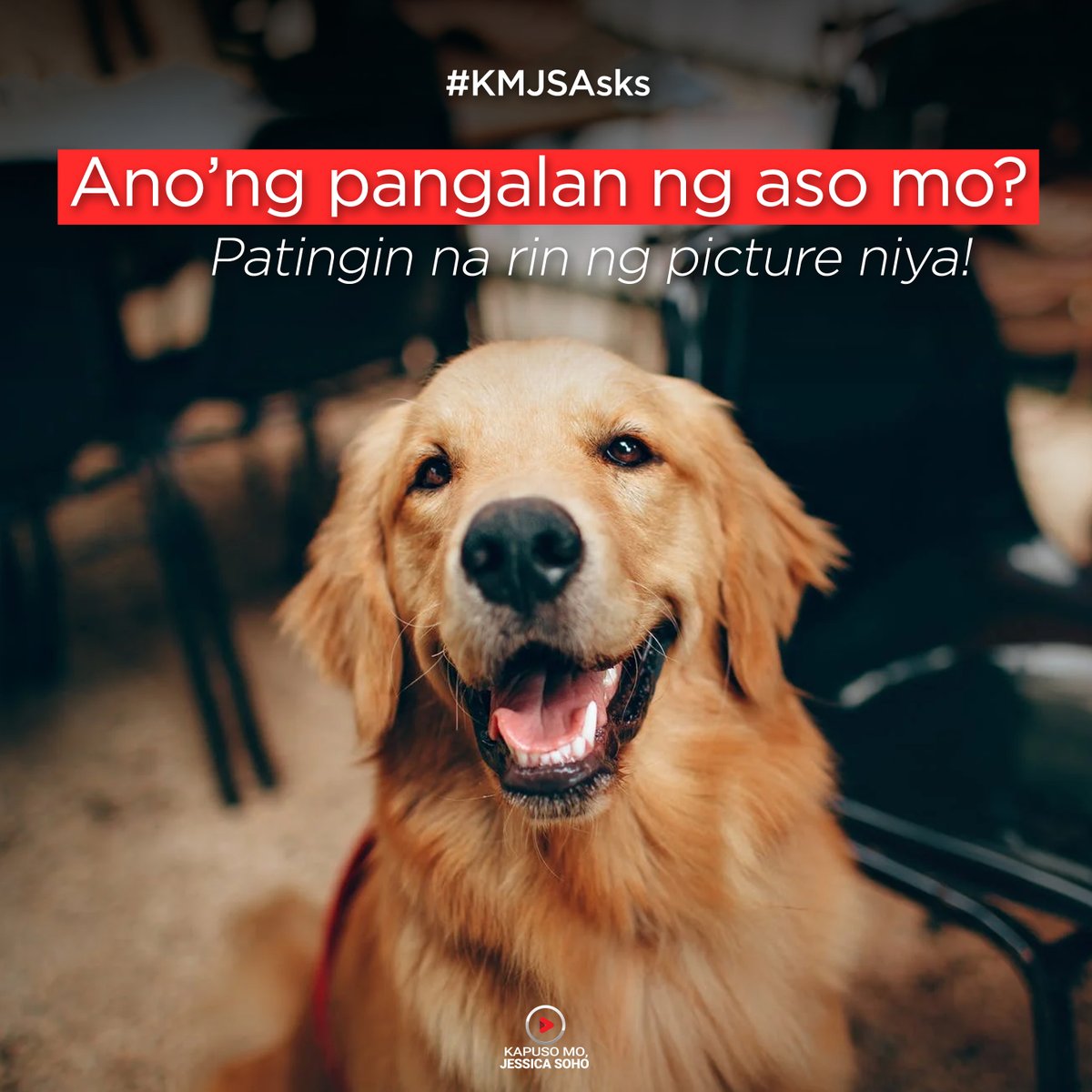 KapusoMoJessicaSoho tweet media