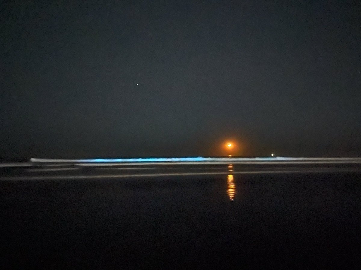 The red tide is back in Oceanside, California