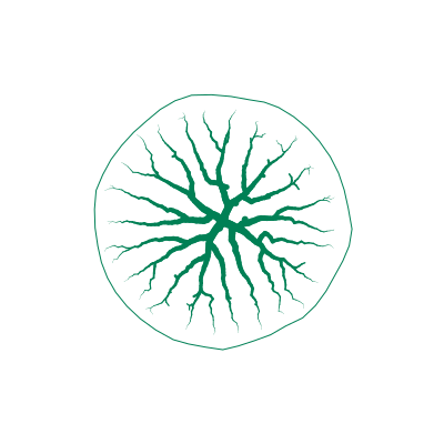 vizrdlabs's tweet photo. The shadow of a tree at high noon, in Equatorial New Guinea. #p5js #generativeArt #digitalart #creativecoding #generative #vizrdLabs #procedural https://t.co/qalOI00dB6