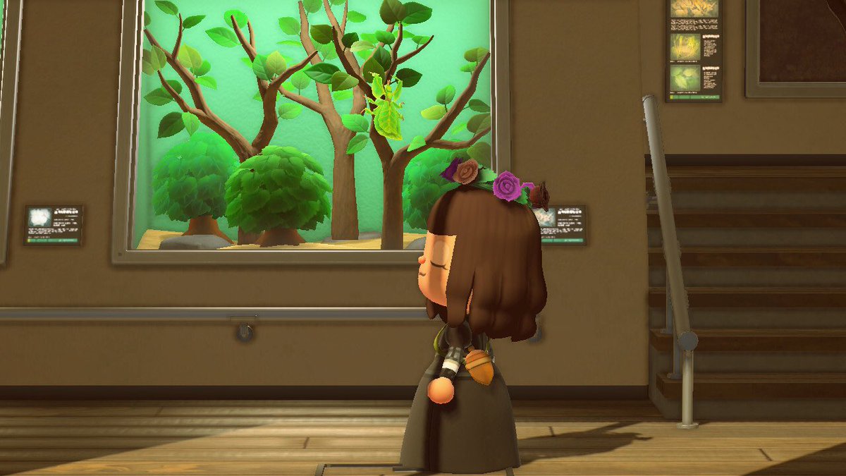 KiamiKing's tweet photo. The lighting in the museum today was tip top #AnimalCrossingNewHorizons #ACNH #animalcrossing https://t.co/IpaBtzqUk5