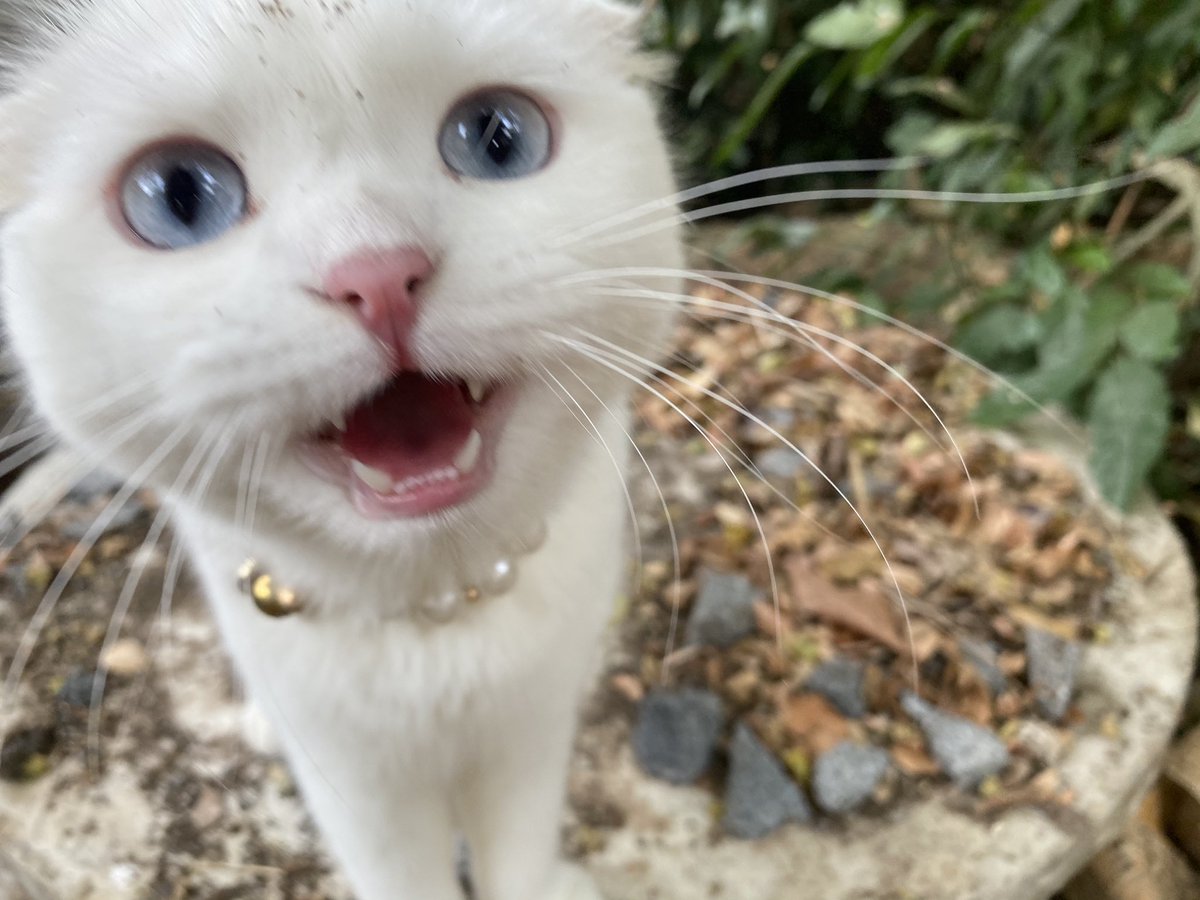 มะเหงตะมอมตงไหนเนี่ย