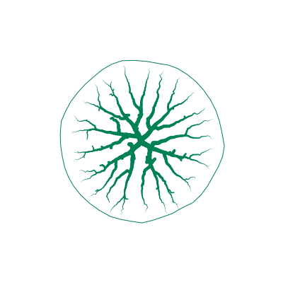 vizrdlabs's tweet photo. The shadow of a tree at high noon, in Equatorial New Guinea. #p5js #generativeArt #digitalart #creativecoding #generative #vizrdLabs #procedural https://t.co/5yUowQpoLN