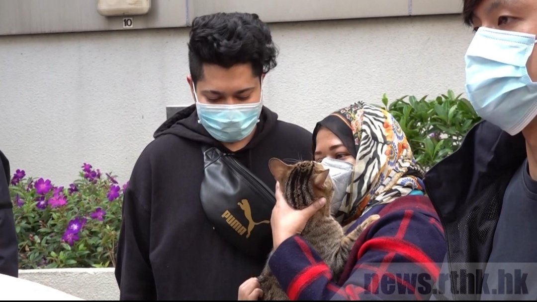 Bonus from rthk news, here's a pic of Lily reunited with her owner, Meher.
