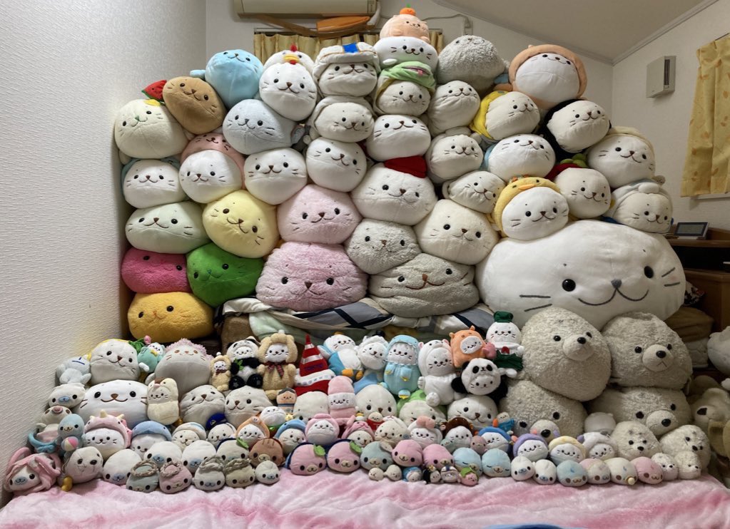 W っ 3 私も実家 部屋にいるしろたん まめゴマ全員紹介しようかな うちの子はみんな可愛いので 何匹か違う子混ざっているの お気づきだろうか W っ 3 私も実家 部屋にいるしろたん まめゴマ全員紹介しようかな うちの子はみんな可愛いので 何匹か違う子混ざっているの お気づきだろうか
