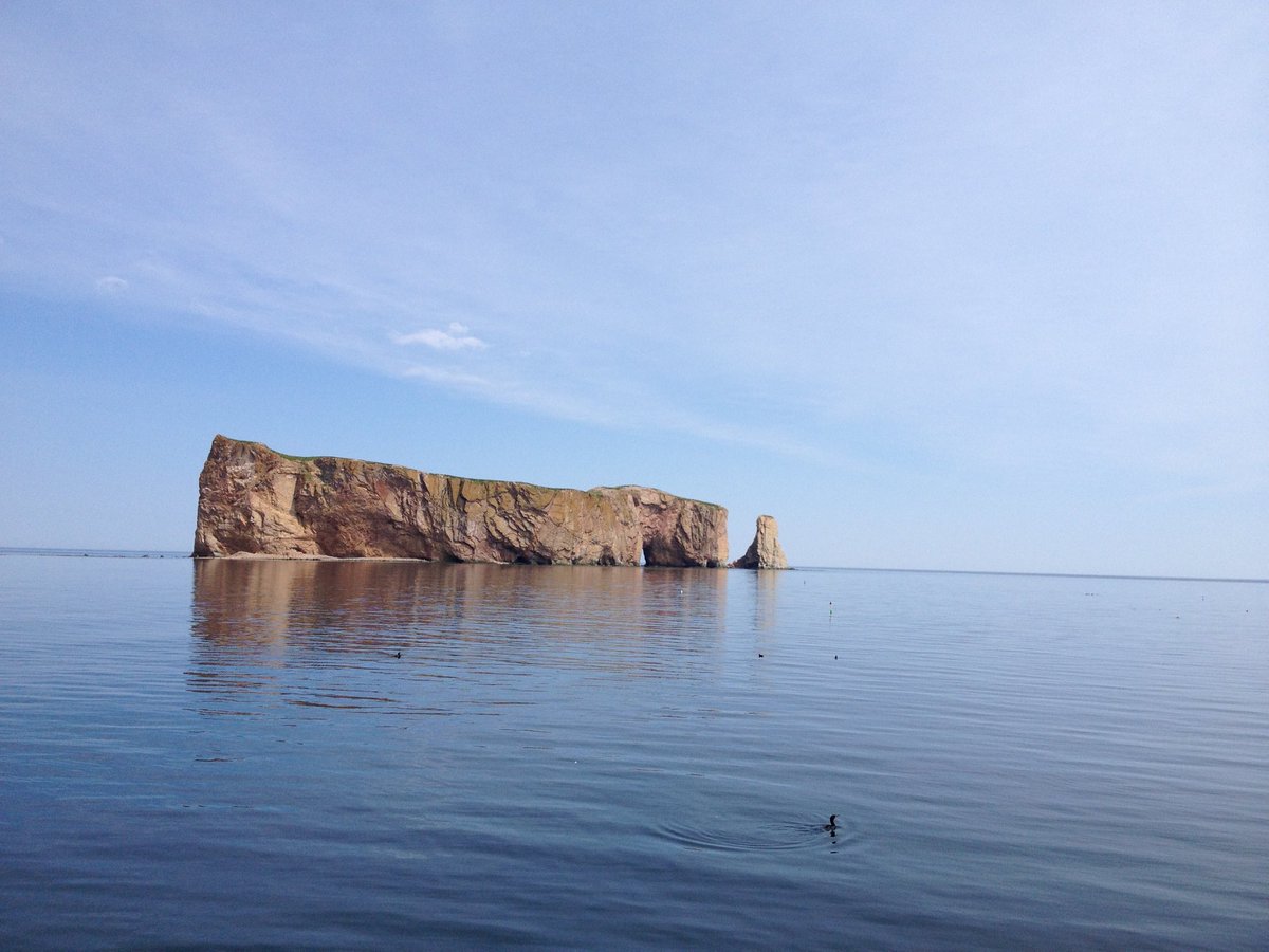 VirginiaScharff's tweet image. Search water in your camera roll and post a favorite