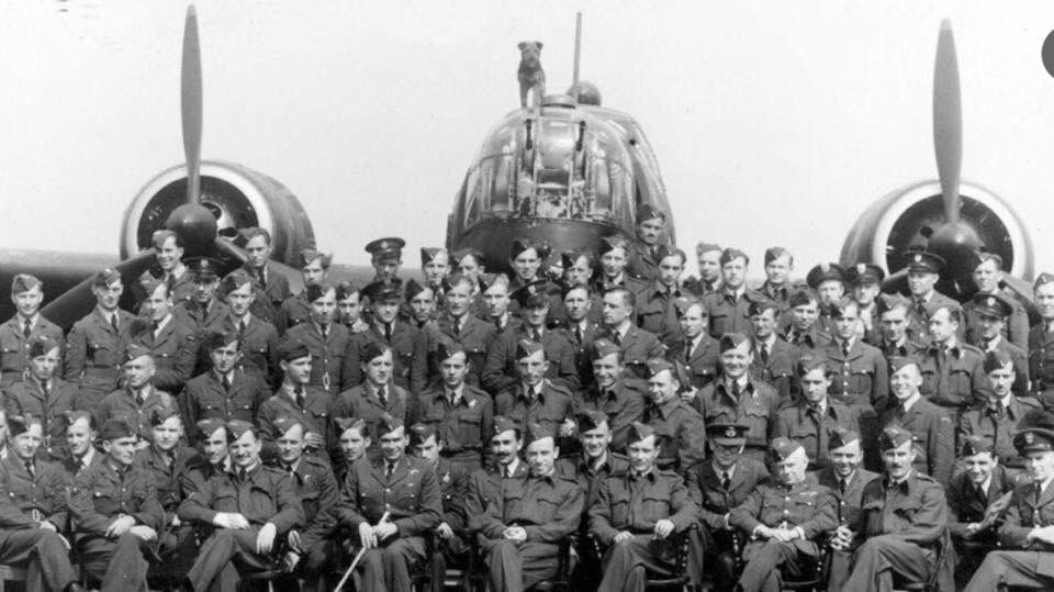 SallyB McGlone tweet media