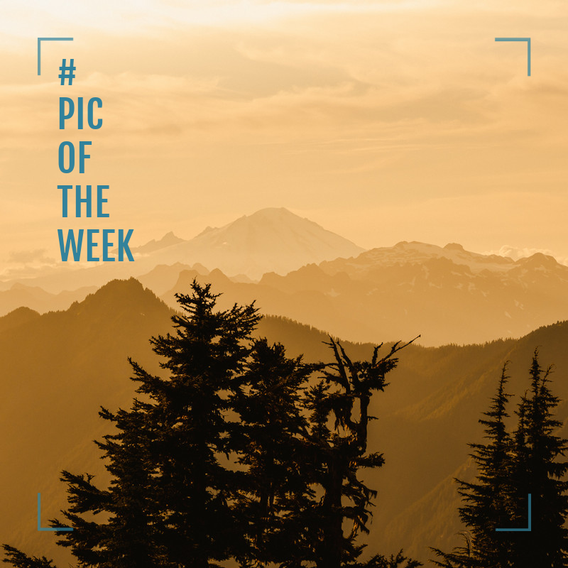 Look at this great photo! #picoftheweek #OutdoorsLife #johnlscott #awesomephotos