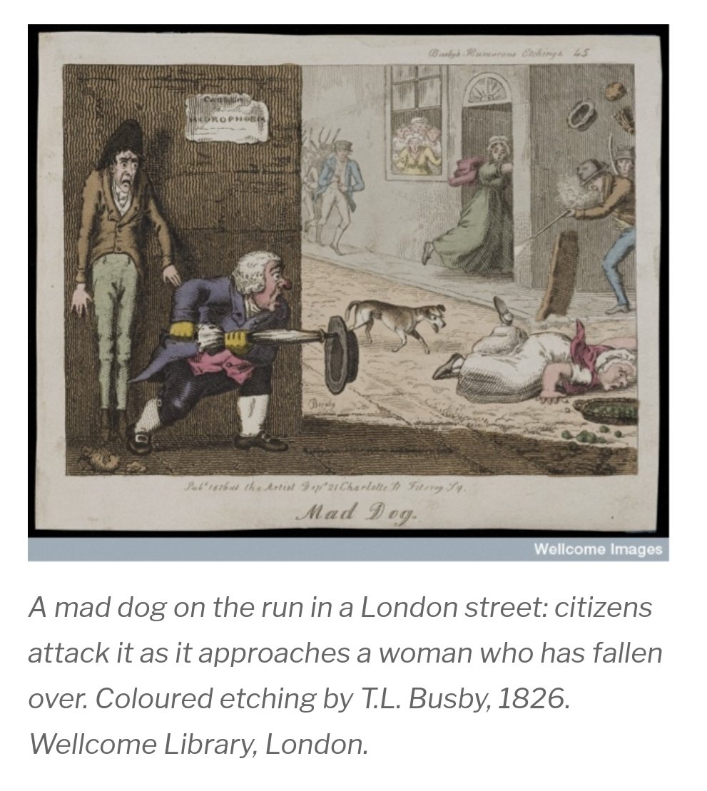  #CBG_ThreadLong before Serum Institute of India was setup, the mesmerising hills of Kasauli, HP made first Indian vaccines. But what connects smashed sheep brains, horse blood, an idyllic hill station in Himachal and and the deadly Rabies virus ?Read on. 1/n