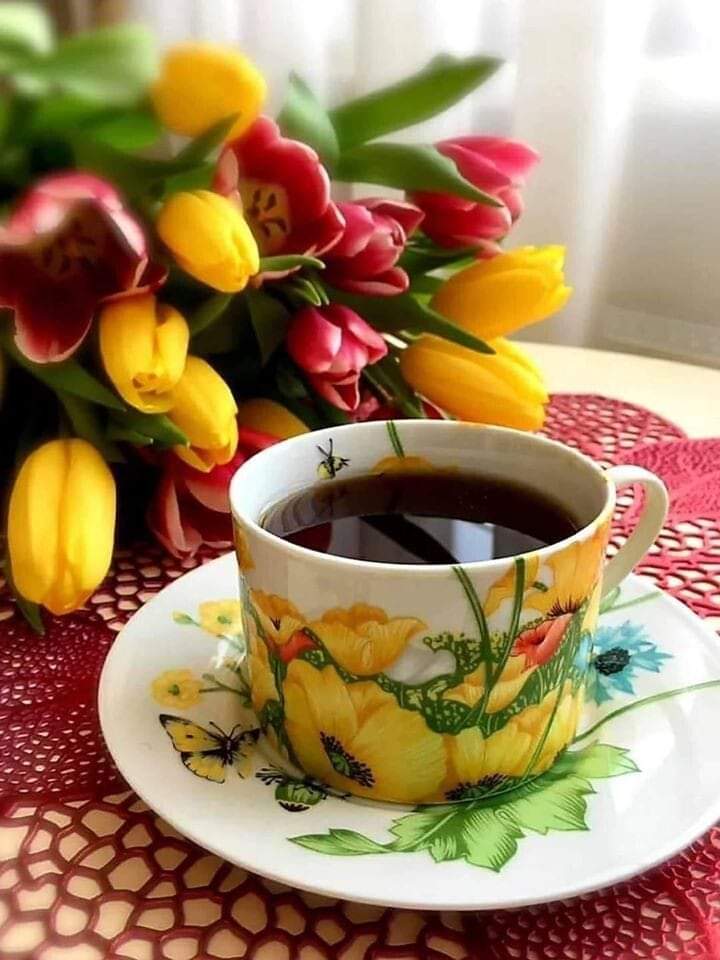 سبحان من تنفّس الصّبح بأمره ، اللهُـمّ بك أصبحنا وعليك توكّلنا  وأنت خير الحافظين
#صباح_الخير