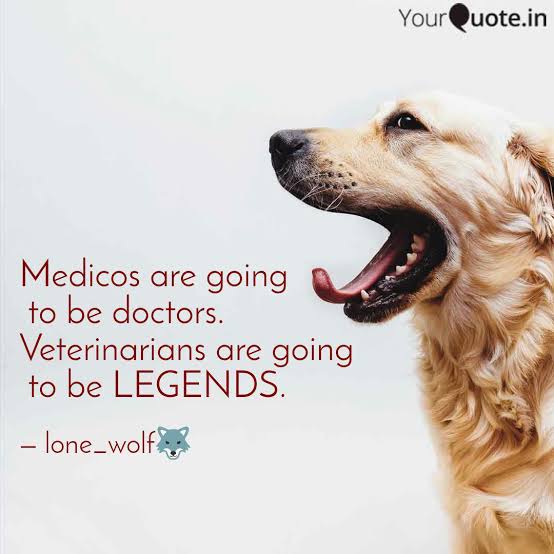Muhamma44328551's tweet photo. #AppointAllSpscWrittenQualifiedVeterinarian https://t.co/bBt9nRRYlx