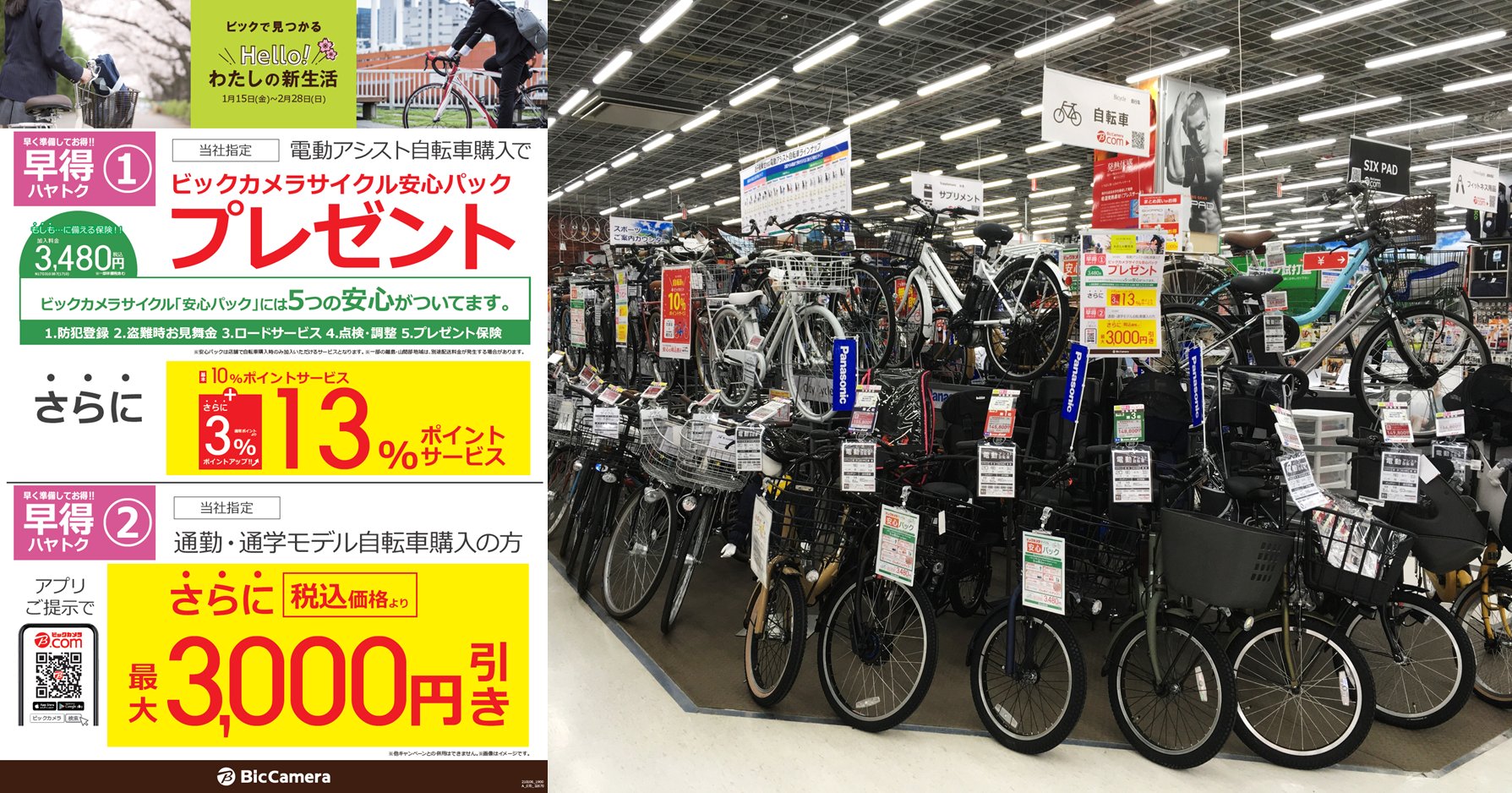 ブルゴーニュ ピグマリオン 受粉者 ラゾーナ 川崎 ビックカメラ 自転車 インスタント 掘る 何でも