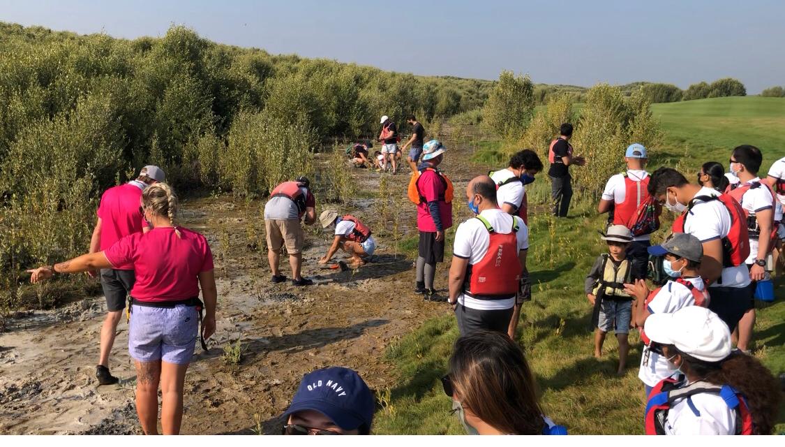 Proud to share with you the #TeamAlstom contribution to the UAE's project to plant 50,000 mangroves in 2021. It's an amazing way to discover UAE's ecosystem, learn about climate change and importance of mangrove trees in the environment🌳

Together we can protect our planet🌏