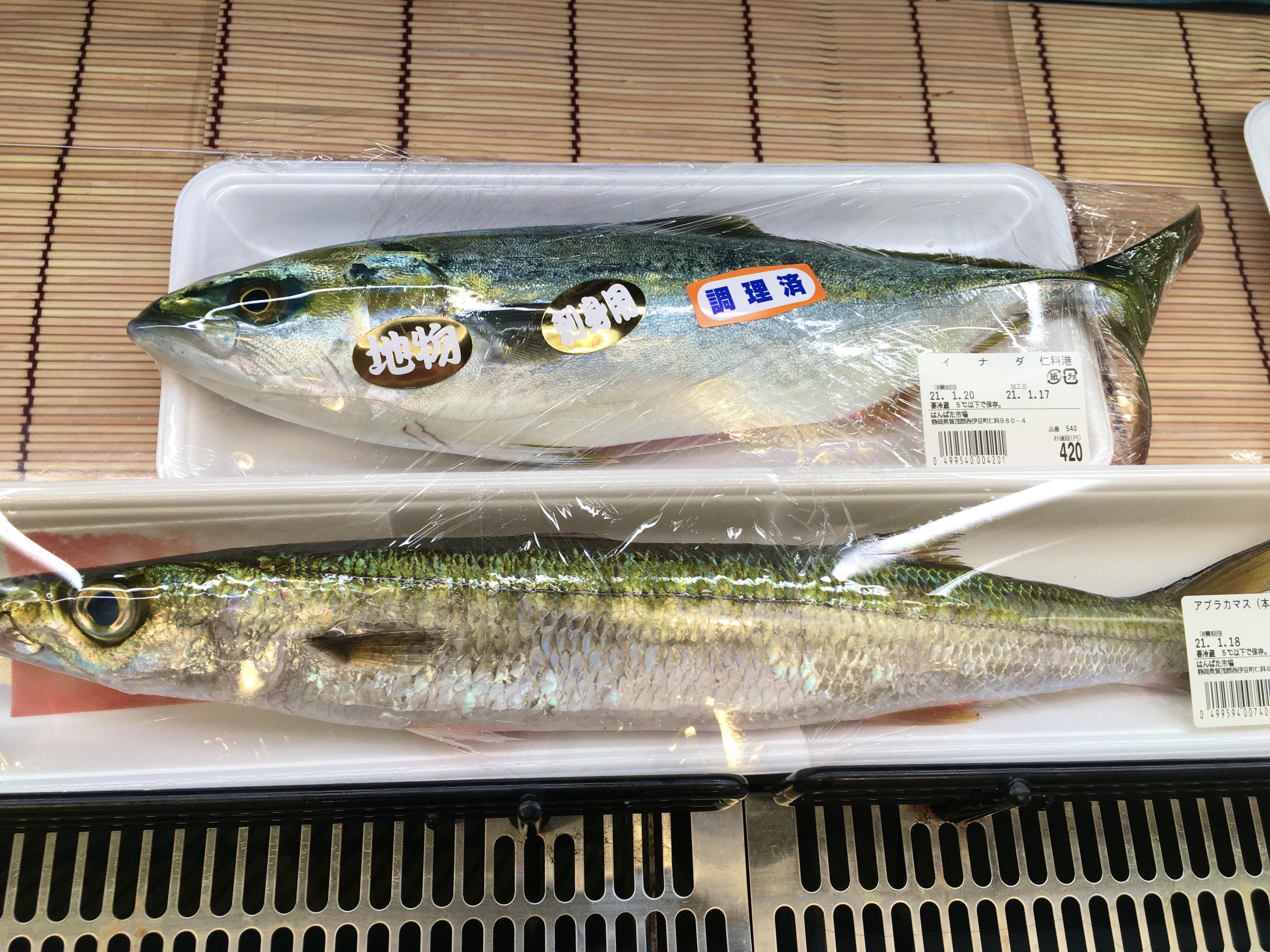 はんばた市場 まるでバラクーダ な デッカマス登場です 全長47cm カマスでこのサイズは なかなかの迫力です カマスは 干物にすると絶品 巨大干物づくりに いかがでしょうか 西伊豆 はんばた市場 カマス 鮮魚 入荷情報 魚 伊豆 駿河湾