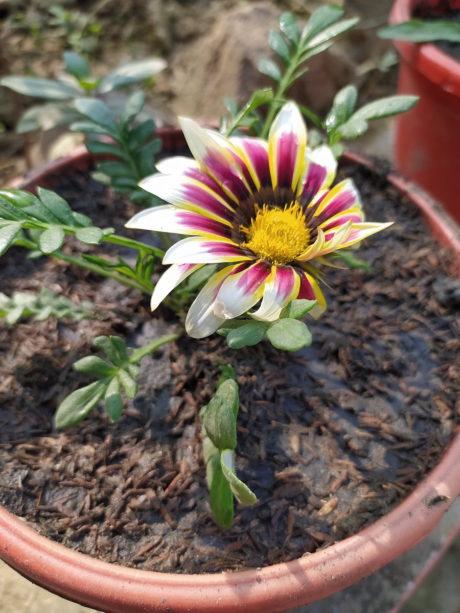 सानो प्रयास 😊😊