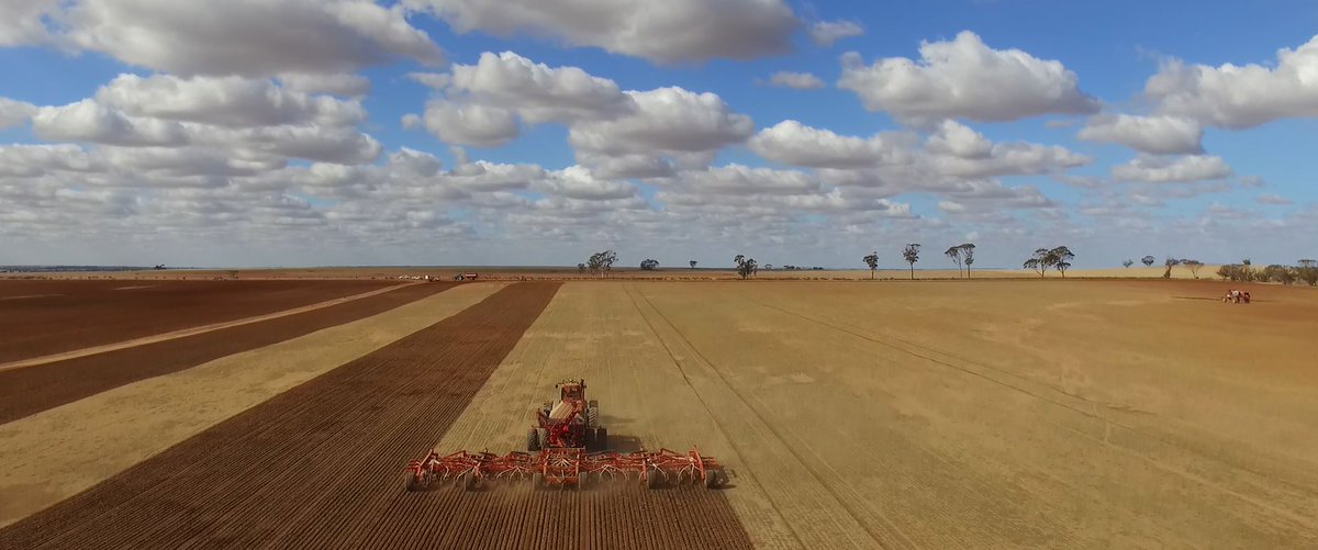 Morris Australia tweet media
