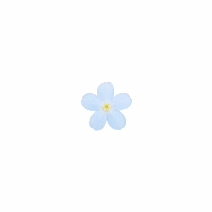 jisungadickted's tweet photo. Hilo completamente necesario de las pequitas de Felix ¡! ♡︎ https://t.co/uGnRjUIptX