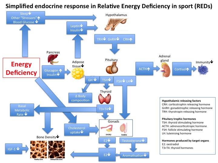 BJSM_BMJ's tweet photo. Can you help get this blog to over 30,000 views? 

A great contribution to the literature from @nickyKfitness #REDS

https://t.co/GS7kmIie63 https://t.co/a9r5cA4GwY
