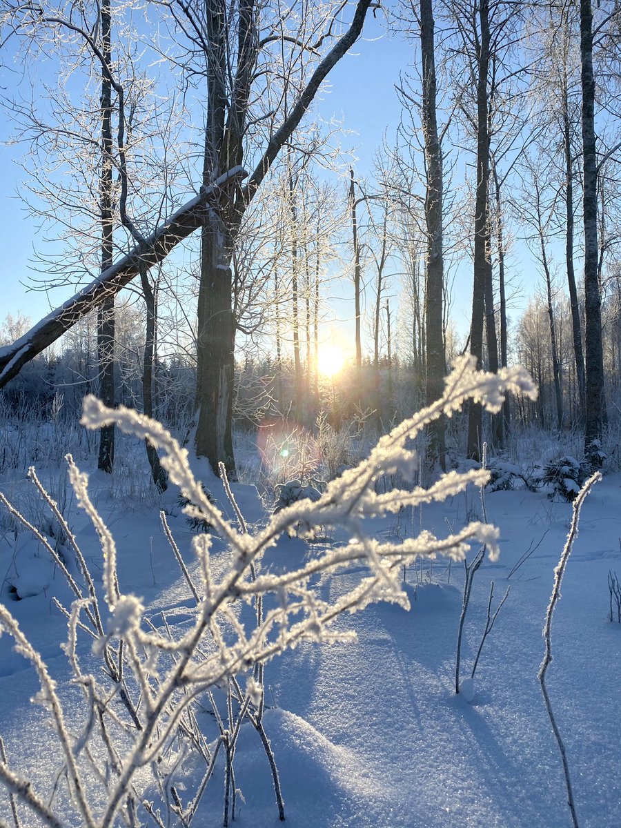 𝓜𝓲𝓷𝓳𝓪 𝓥𝓲𝓽𝓲𝓴𝓴𝓪 tweet media