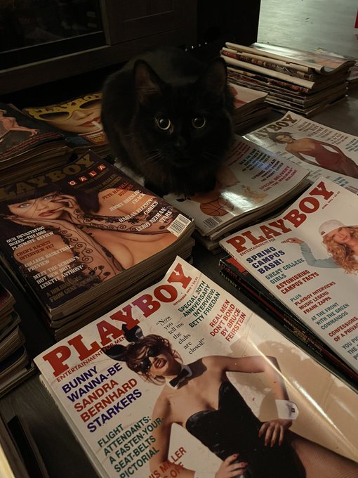 fur the articles https://t.co/lckiCHEbrv
