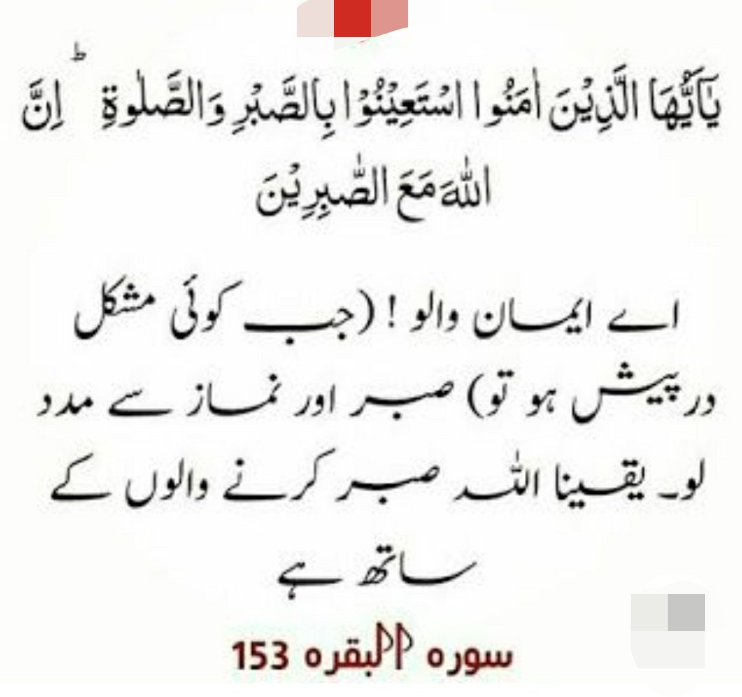 Syed Naseer (@syednas62215055) on Twitter photo 