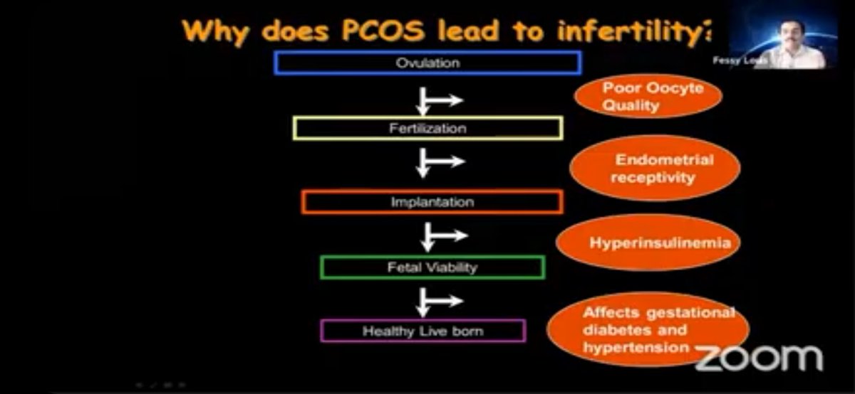 SonamSimpatwar's tweet image. PCOS and Infertility @niru22 #highgrad #ART #IVFcourse #sciencematters