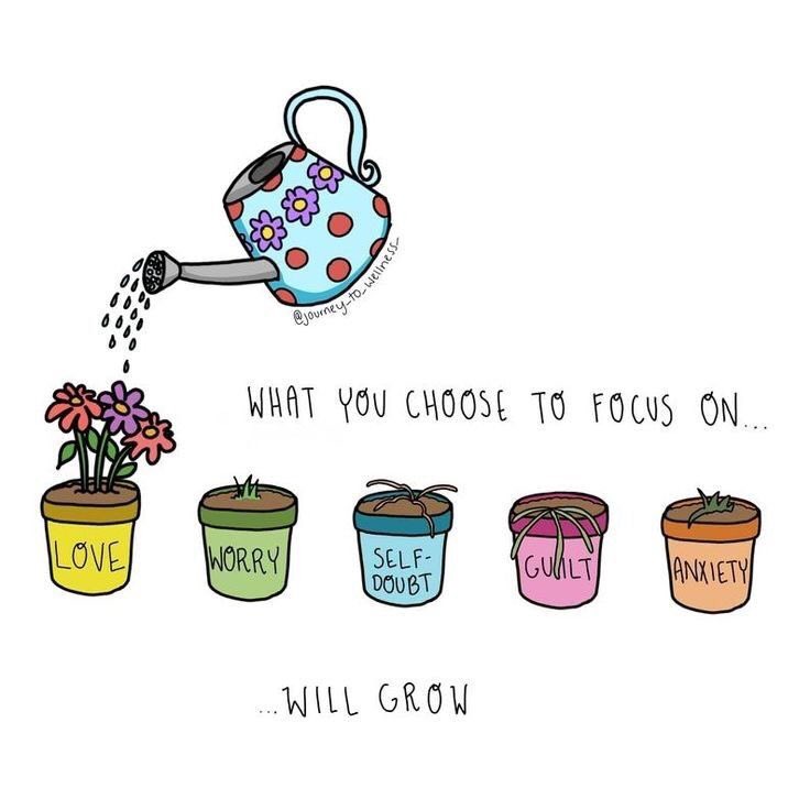 dr_sangitaa's tweet photo. What you choose to focus on?? Will grow !!! 🌿☘️🪴🌾💐🌺 #sundayvibes #dailymotivation #SundayThoughts #heyhelp #heyfoundation https://t.co/BVhtn32eIZ
