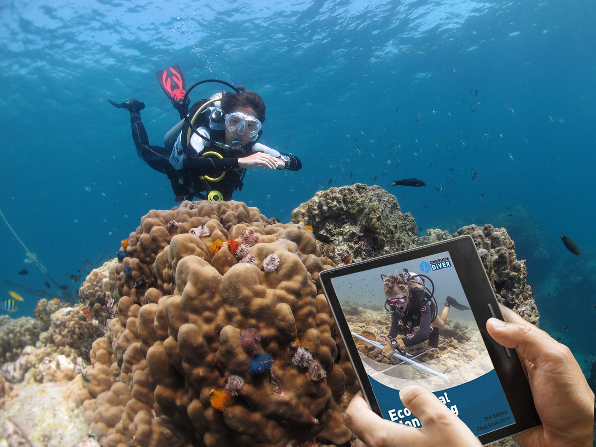ConservationD's tweet photo. Our EMP Manual is updated for '21 as an #eManual! It covers how to conduct underwater marine research, designed for students and reef managers on approaching the most important aspect of future conservation endeavours 🌏
#conservationdiver #coralreef

https://t.co/k8ovsiNUlM https://t.co/AOUNJ5UvEg