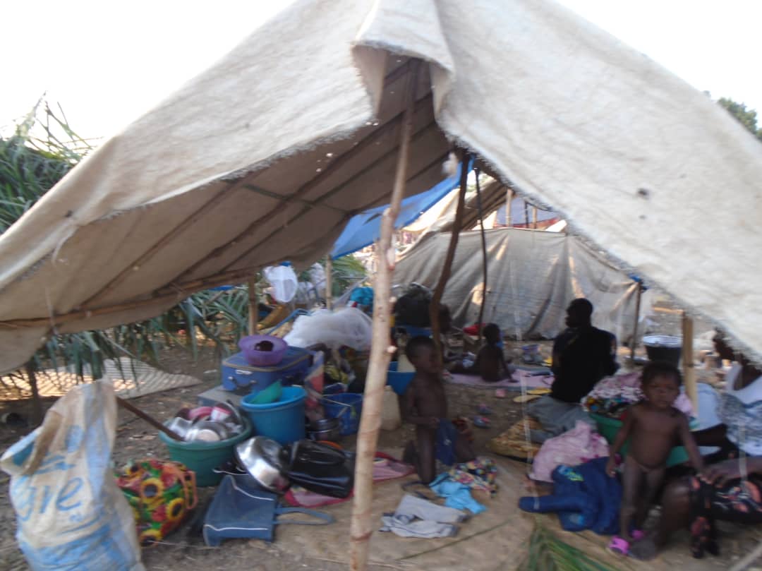 AFIA MAMA RDC tweet media