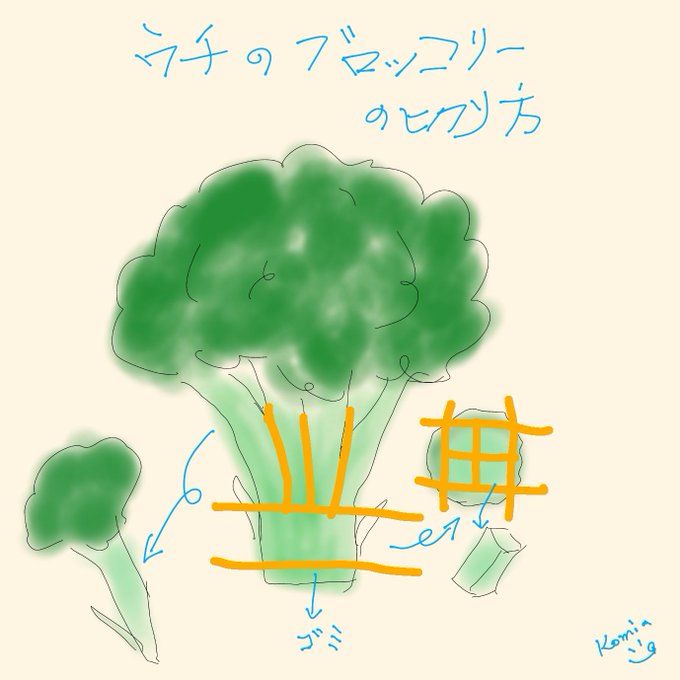 ブロッコリーの茹で方のtwitterイラスト検索結果