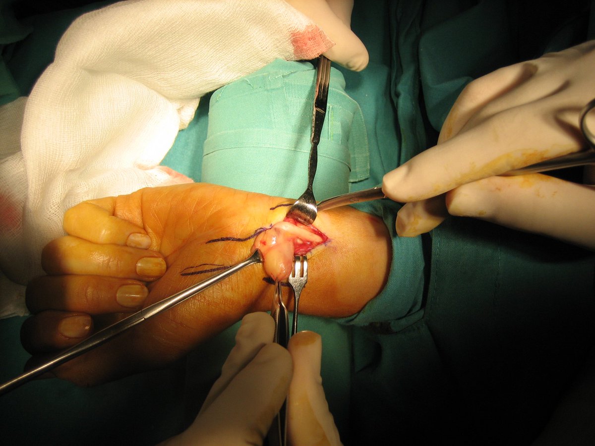 HOMID FAHANDEZH tweet media