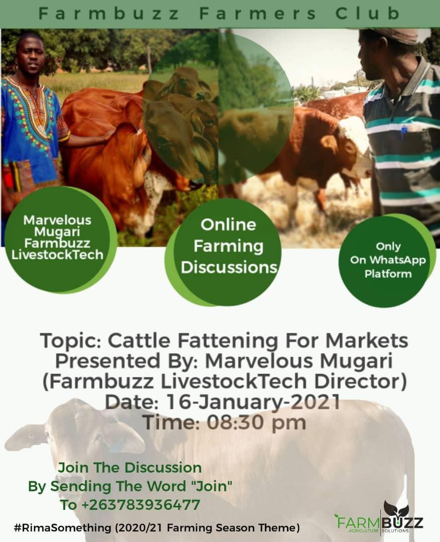 Last night we had an online cattle fattening discussion where our Livestock Tech Director  @Bubanpotok gave a very informative presentation to our farmers. Below are some of the nuggets sharedTHREAD #RimaSomething  #DangaManagement